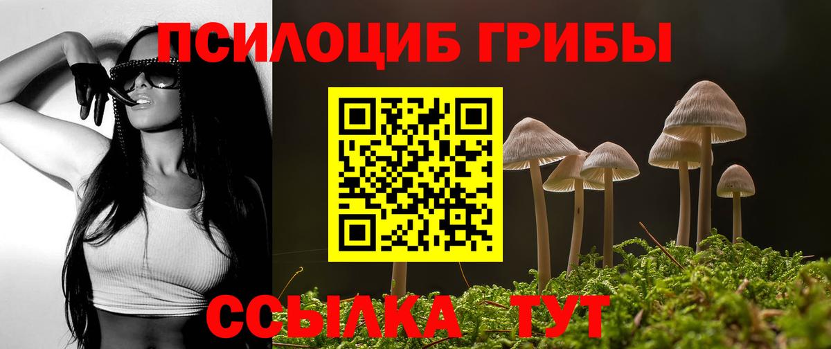 Галлюциногенные грибы ЛСД Кохма