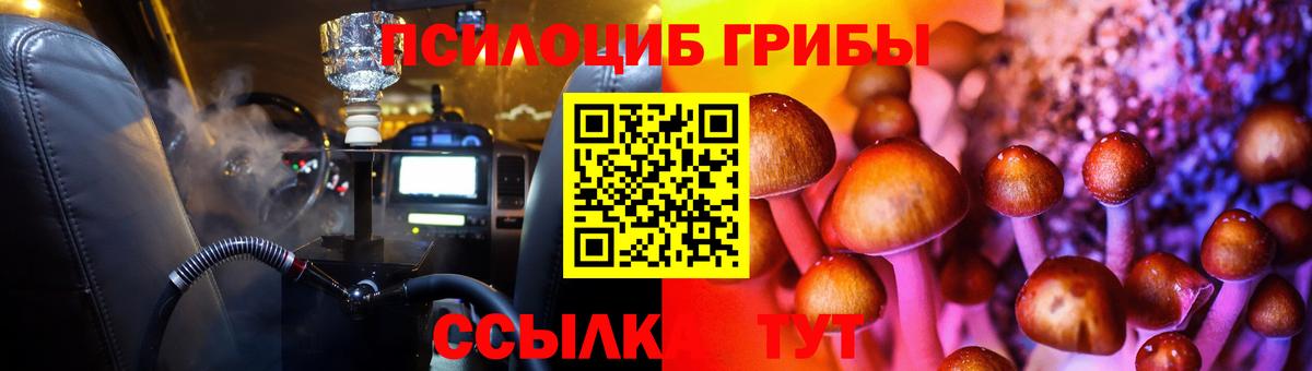 Псилоцибиновые грибы Psilocybine cubensis  даркнет сайт  Кохма  Вход с VPN 